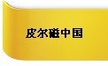 皮爾磁參展第13屆華南地區(qū)工業(yè)控制自動(dòng)化國(guó)際展覽會(huì)